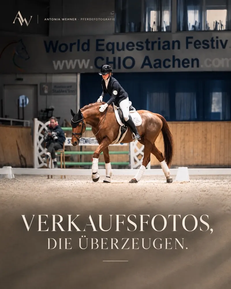 Instagram-Post: Verkaufsfotos, die überzeugen.