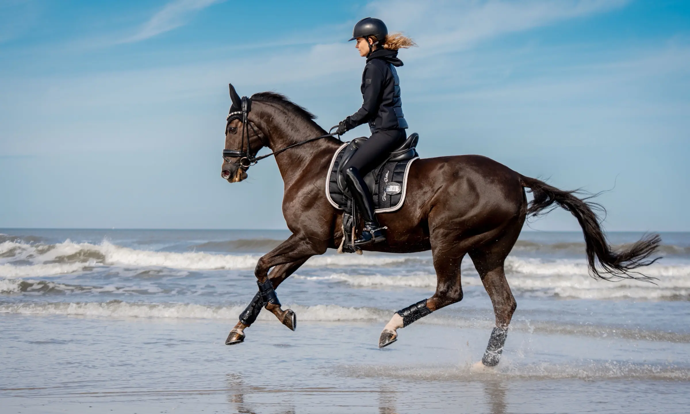 Galopp am Strand in der Sonne